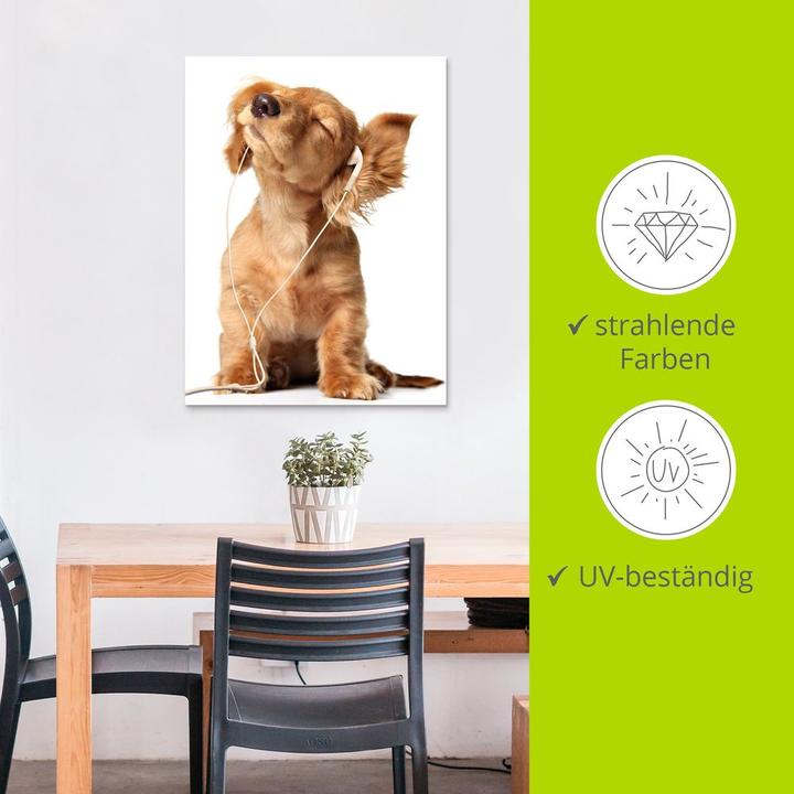 Produktbild Artland Junger Hund hört Musik über Kopfhörer T5QE (60 x 80 cm)