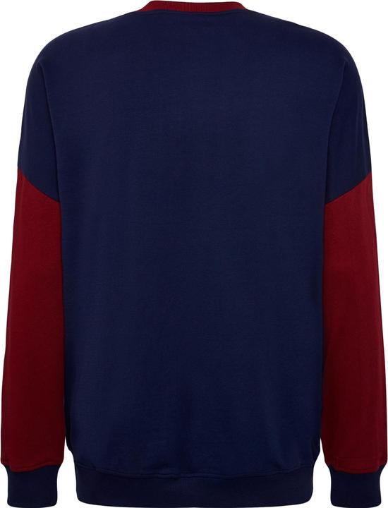 Produktbild hummel Hmlic Parker Sweatshirt (L)