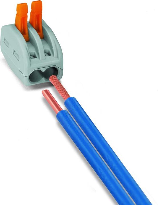Actual product image Wago Terminal strip