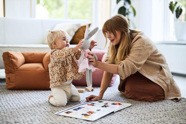 Image du produit Jollein Fauteuil pour enfants Pouf (Fauteuil pour enfants)