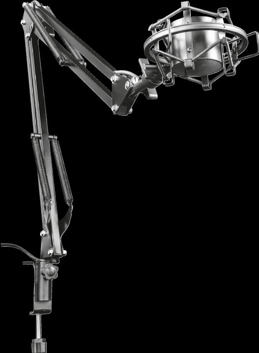 Actual product image Trust GXT 253 Emita Streaming microphone boom