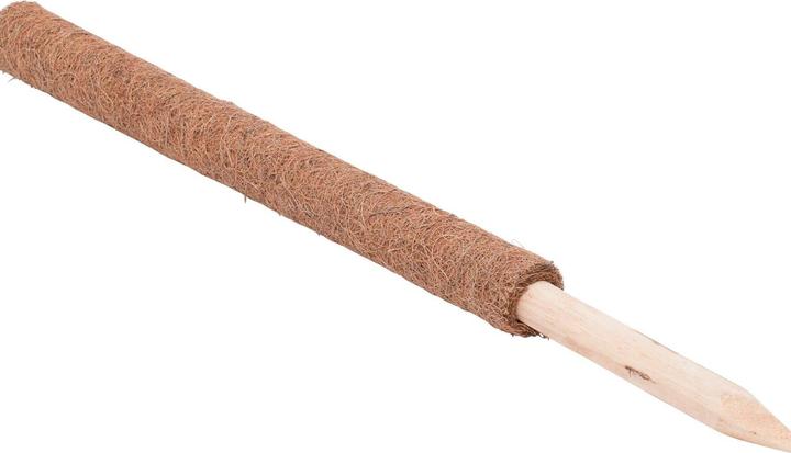 Actual product image Windhager Plant stick coconut (80 cm, 4.50 cm)