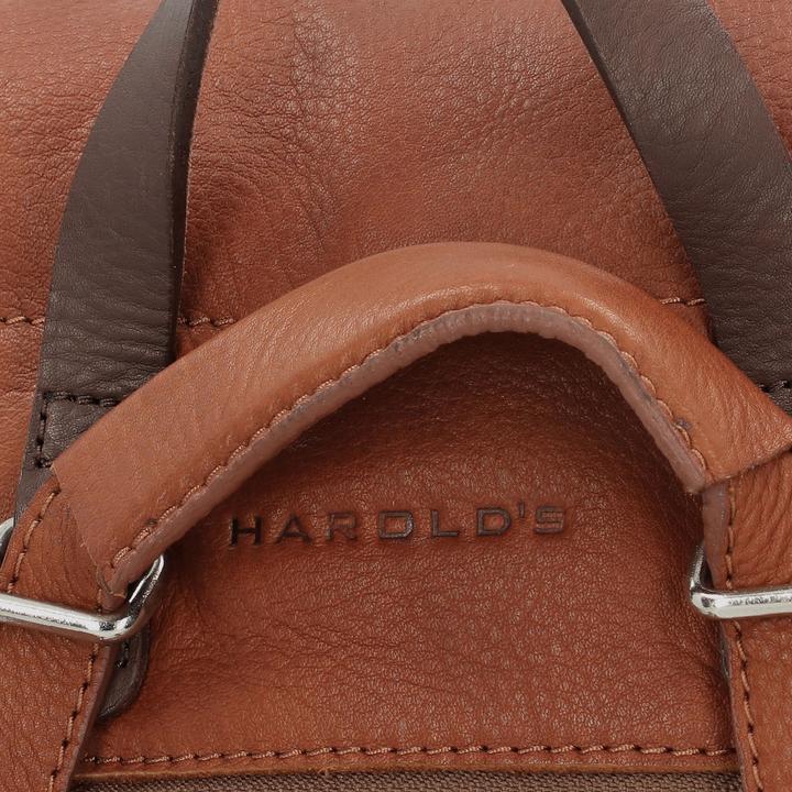 Image du produit Harolds Sac à dos Lift City en cuir 33 cm (5 l)