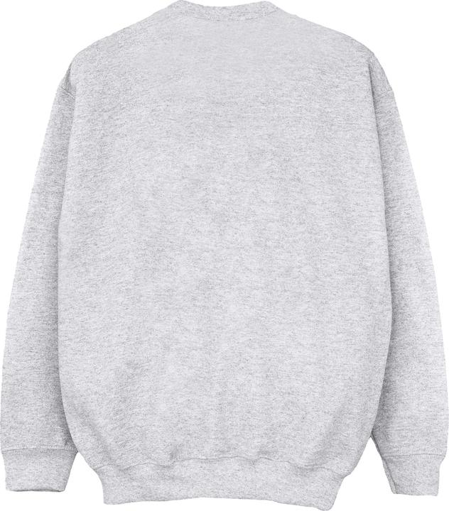 Actual product image Disney Boys The Lion King Future King Sweatshirt (128)
