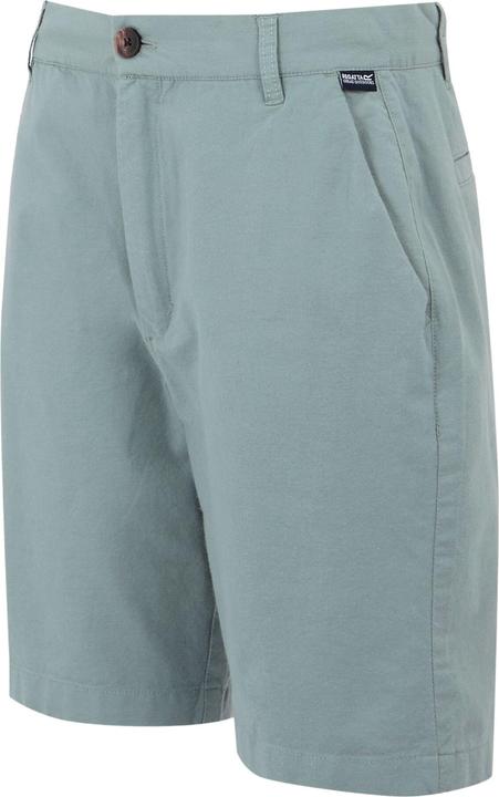 Actual product image Regatta Mens Sabastal Shorts (42)