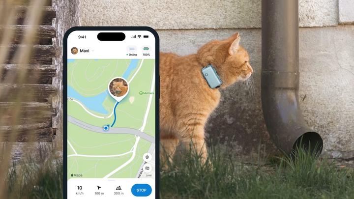 Produktbild Tractive GPS Mini (One Size, Katze, Allgemein)