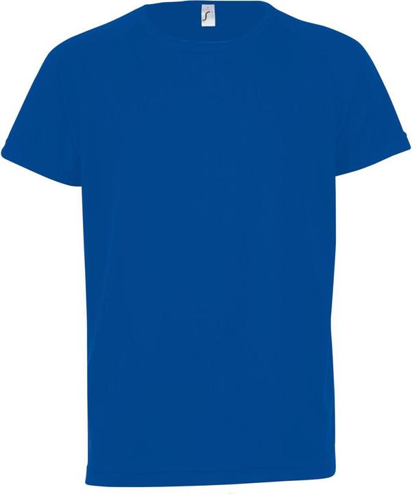 Bleu roi