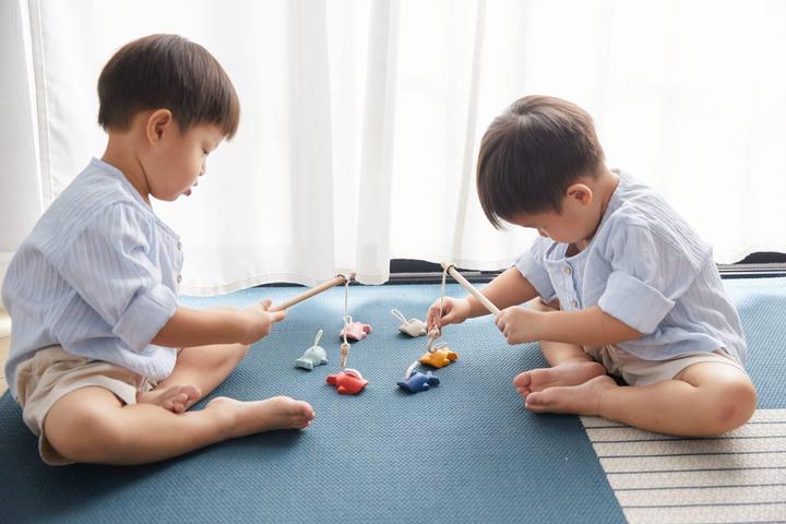 Actual product image Plantoys Fishing game (English, German, French, Italian, Swiss German)