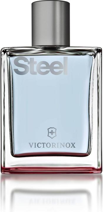 Immagine prodotto Victorinox Acciaio (Eau de toilette, 100 ml)