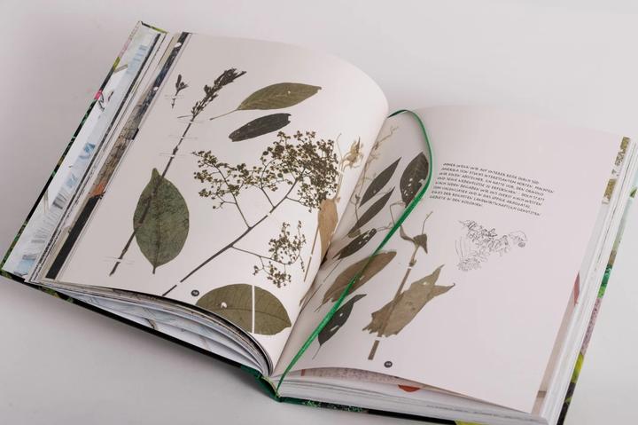 Image du produit Die Abenteuer des Alexander von Humboldt (Allemand, Andrea Wulf, 2019)