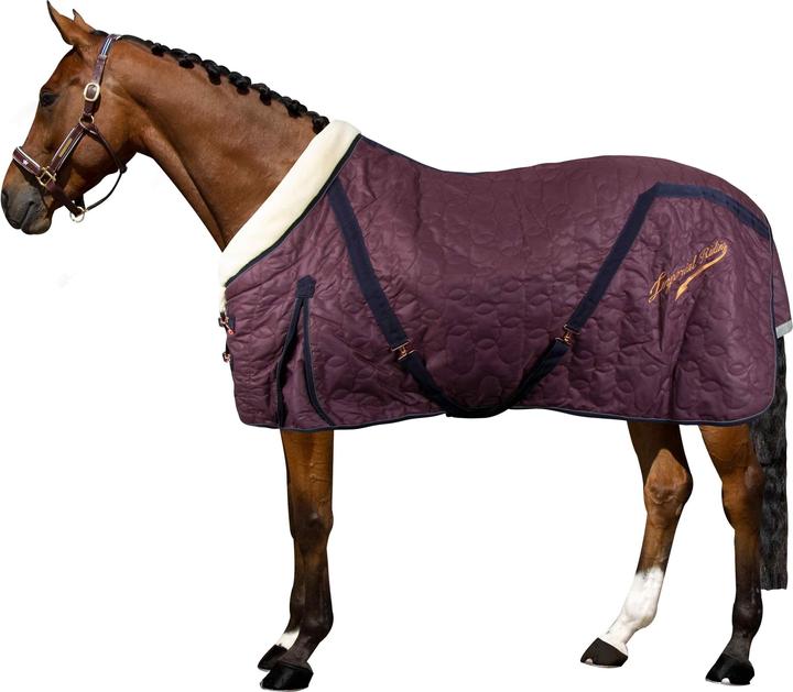Produktbild Imperial Riding Super-dry 250 g