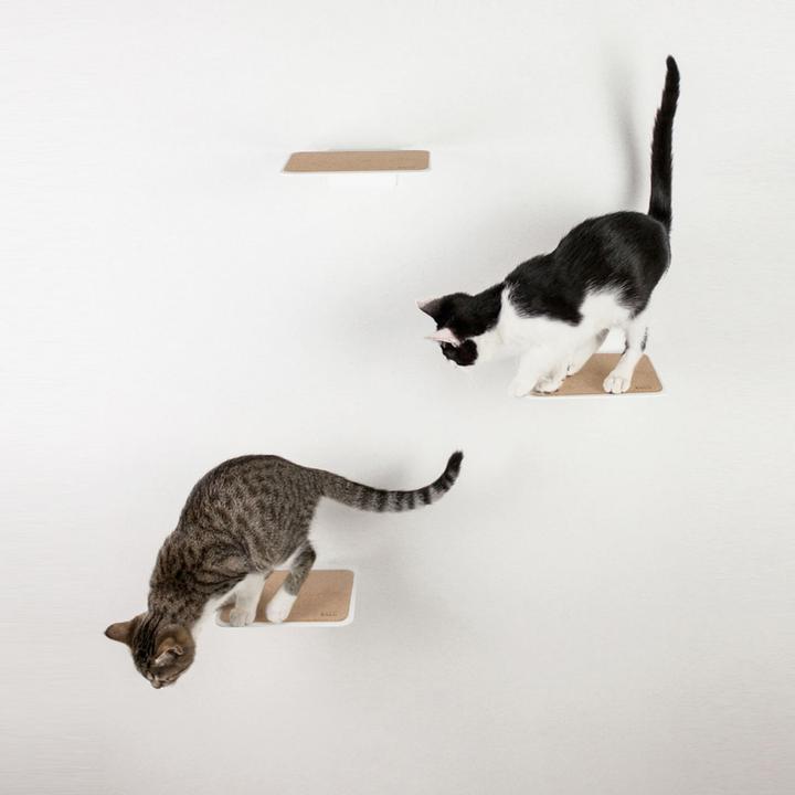 Actual product image LucyBalu STEPS Katzentreppe (5 cm, White, Cork)