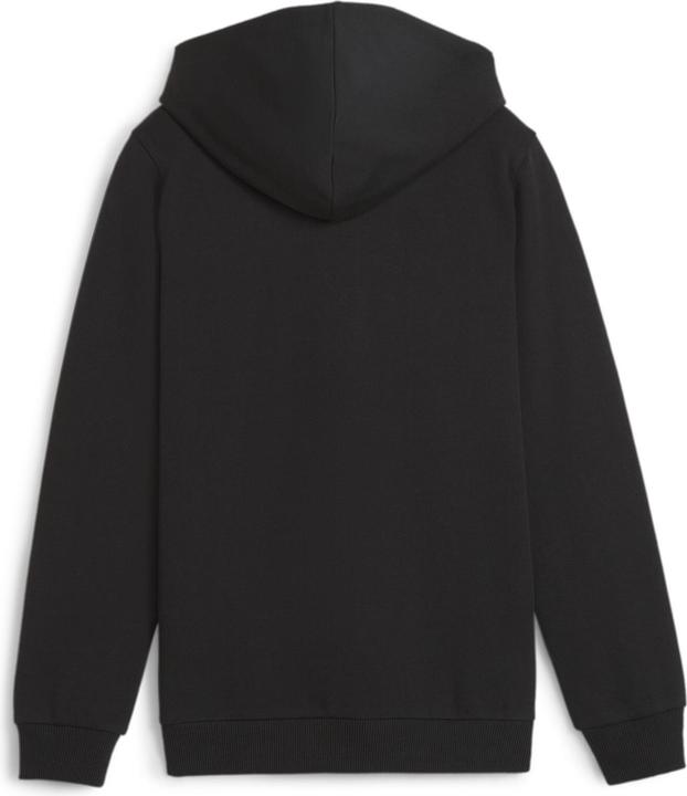 Actual product image Puma teamGOAL Casuals Hooded Jacket Jr (152)