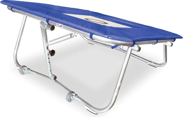 Image du produit Sport-Thieme Mini-tramp standard