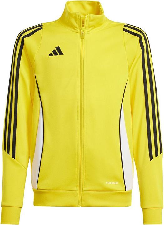 Actual product image adidas TIRO24 TRJKT Y (128)