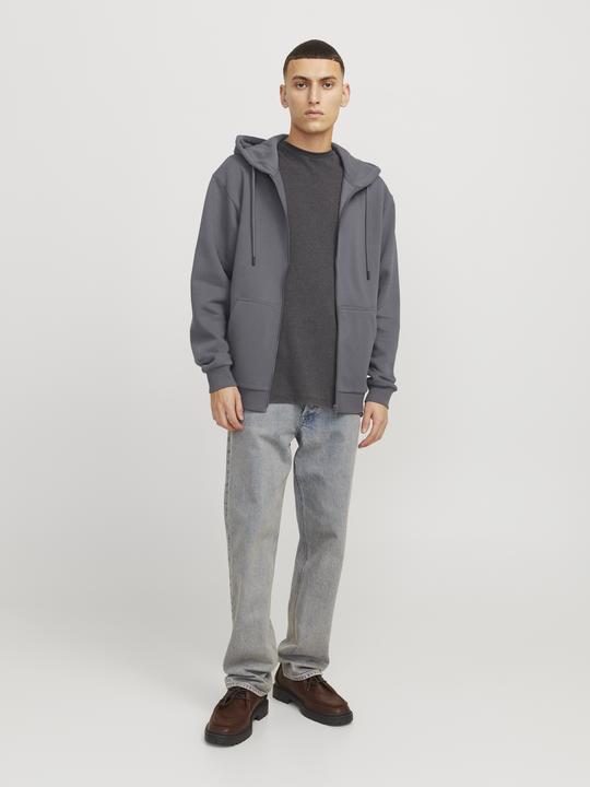 Produktbild Jack & Jones Jjebradley Sweat Zip Hood Noos (XS)