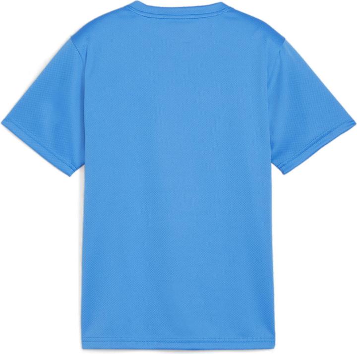 Image du produit Puma teamGOAL Jersey Jr (116)