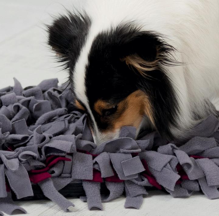 Produktbild Trixie Activity Schnüffelteppich (Beschäftigungsspielzeug Hund)