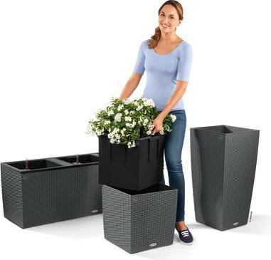 Image du produit Lechuza Cube Cottage (29.50 cm)