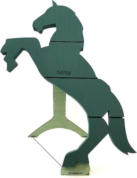 Actual product image Oasis OASISBIOLINE Horse