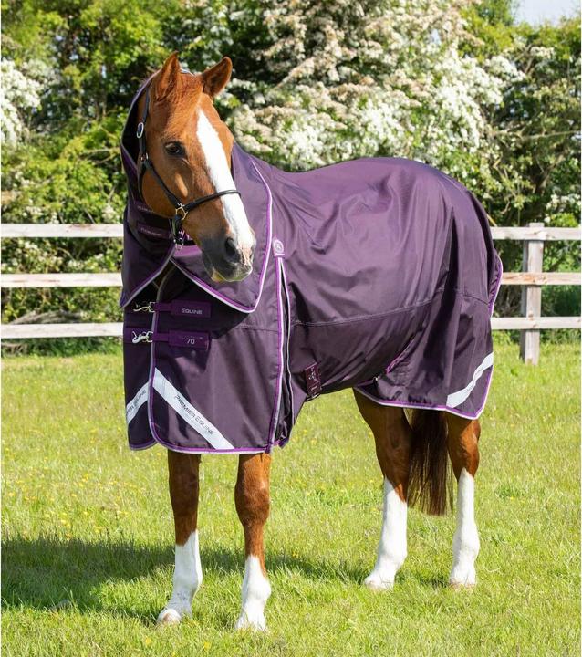 Produktbild Premier Equine Buster 70 g (213 cm)