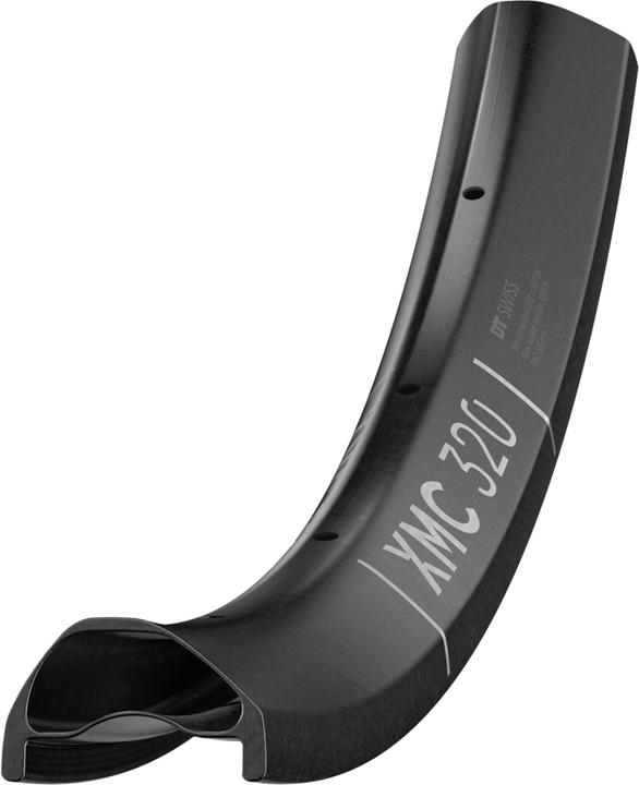 Actual product image DT Swiss XMC 320 (29")