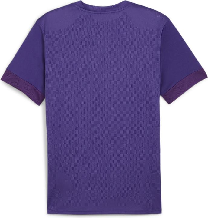 Actual product image Puma teamGOAL Matchday Jersey (S)