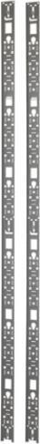 Actual product image APC Vertical Cable Organizer NetShelter SX 42U