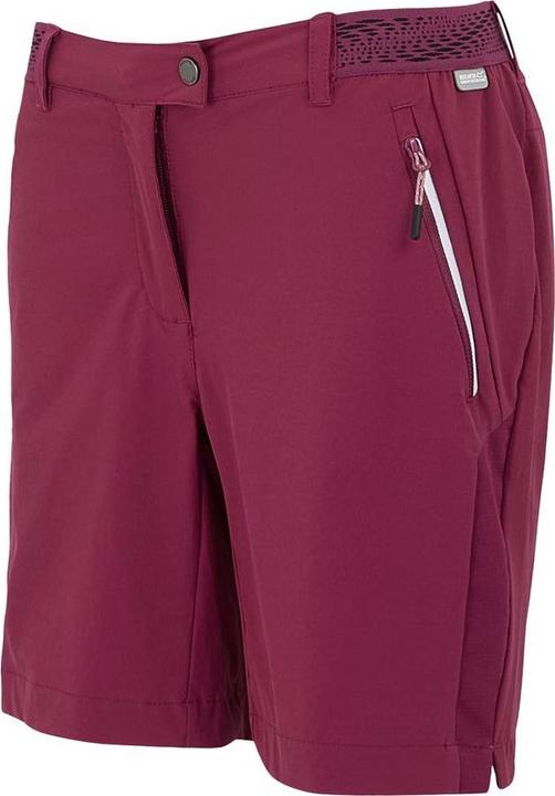 Produktbild Regatta Mountain Shorts II (XS)