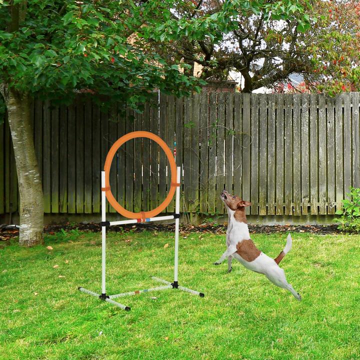 Produktbild PawHut Hundetrainingsset mit Springring (Agility)