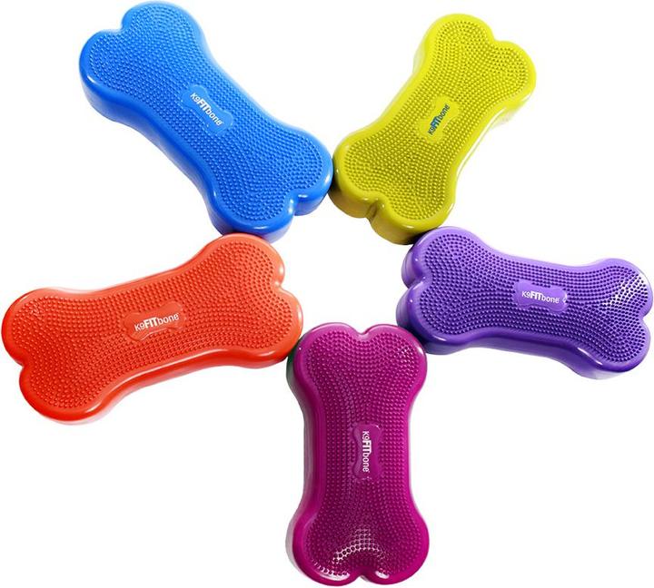 FitPaws K9 Fitbone (Agility)