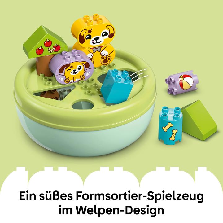 Immagine prodotto LEGO Formsortierer: Welpenhaus (10441)
