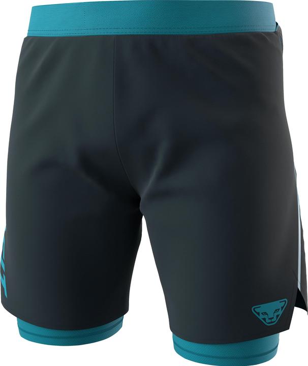 Dynafit ALPINE PRO 2/1 SHORTS, Herren